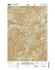 Carpenter Mountain Oregon Current topographic map, 1:24000 scale, 7.5 X 7.5 Minute, Year 2014