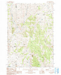 Castle Rock Oregon Historical topographic map, 1:24000 scale, 7.5 X 7.5 Minute, Year 1990
