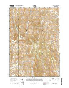 Castle Rock Oregon Current topographic map, 1:24000 scale, 7.5 X 7.5 Minute, Year 2014
