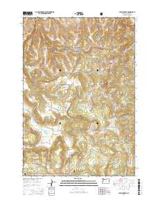 Chapin Creek Oregon Current topographic map, 1:24000 scale, 7.5 X 7.5 Minute, Year 2014
