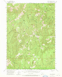 Chetco Peak Oregon Historical topographic map, 1:62500 scale, 15 X 15 Minute, Year 1954