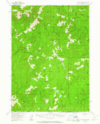 Chetco Peak Oregon Historical topographic map, 1:62500 scale, 15 X 15 Minute, Year 1954