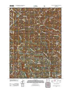 Chilcoot Mountain Oregon Historical topographic map, 1:24000 scale, 7.5 X 7.5 Minute, Year 2011