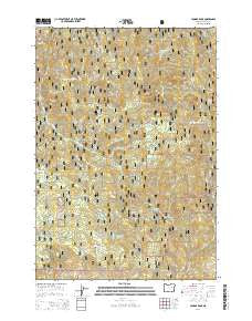 Cougar Rock Oregon Current topographic map, 1:24000 scale, 7.5 X 7.5 Minute, Year 2014