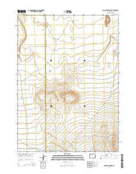 Coyote Meadows Oregon Current topographic map, 1:24000 scale, 7.5 X 7.5 Minute, Year 2014