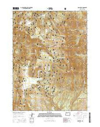 Crook Peak Oregon Current topographic map, 1:24000 scale, 7.5 X 7.5 Minute, Year 2014