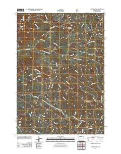 Cummins Peak Oregon Historical topographic map, 1:24000 scale, 7.5 X 7.5 Minute, Year 2011