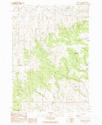 Devils Heel Oregon Historical topographic map, 1:24000 scale, 7.5 X 7.5 Minute, Year 1990
