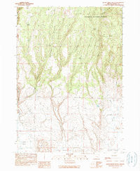 Devine Ridge South Oregon Historical topographic map, 1:24000 scale, 7.5 X 7.5 Minute, Year 1990