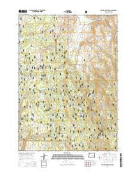 Devine Ridge North Oregon Current topographic map, 1:24000 scale, 7.5 X 7.5 Minute, Year 2014