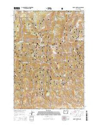 Dooley Mountain Oregon Current topographic map, 1:24000 scale, 7.5 X 7.5 Minute, Year 2014