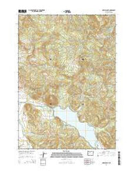 Dorena Lake Oregon Current topographic map, 1:24000 scale, 7.5 X 7.5 Minute, Year 2014