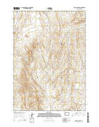 Double Mountain Oregon Current topographic map, 1:24000 scale, 7.5 X 7.5 Minute, Year 2014