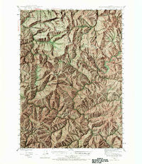 Dutchman Butte Oregon Historical topographic map, 1:62500 scale, 15 X 15 Minute, Year 1946