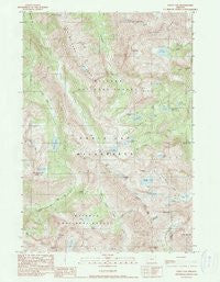 Eagle Cap Oregon Historical topographic map, 1:24000 scale, 7.5 X 7.5 Minute, Year 1990