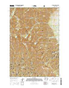 Elkhorn Peak Oregon Current topographic map, 1:24000 scale, 7.5 X 7.5 Minute, Year 2014