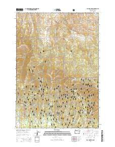 Fall Mountain Oregon Current topographic map, 1:24000 scale, 7.5 X 7.5 Minute, Year 2014