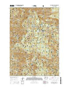Fish Creek Mountain Oregon Current topographic map, 1:24000 scale, 7.5 X 7.5 Minute, Year 2014