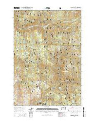 Flagstaff Butte Oregon Current topographic map, 1:24000 scale, 7.5 X 7.5 Minute, Year 2014