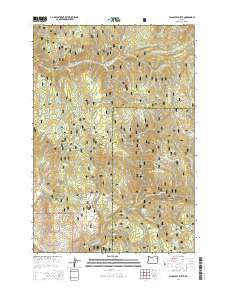 Flagstaff Butte Oregon Current topographic map, 1:24000 scale, 7.5 X 7.5 Minute, Year 2014