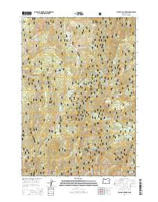 Flagtail Mountain Oregon Current topographic map, 1:24000 scale, 7.5 X 7.5 Minute, Year 2014