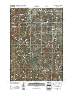 Flat Mountain Oregon Historical topographic map, 1:24000 scale, 7.5 X 7.5 Minute, Year 2011