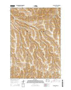 Gleason Butte Oregon Current topographic map, 1:24000 scale, 7.5 X 7.5 Minute, Year 2014