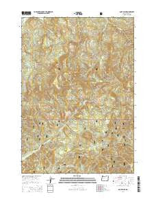 Goat Point Oregon Current topographic map, 1:24000 scale, 7.5 X 7.5 Minute, Year 2014