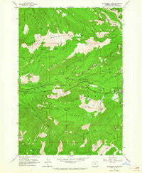 Government Camp Oregon Historical topographic map, 1:24000 scale, 7.5 X 7.5 Minute, Year 1962