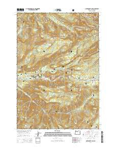 Government Camp Oregon Current topographic map, 1:24000 scale, 7.5 X 7.5 Minute, Year 2014