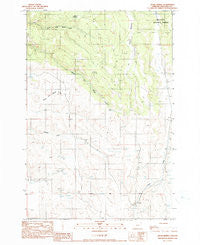 Hicks Spring Oregon Historical topographic map, 1:24000 scale, 7.5 X 7.5 Minute, Year 1990