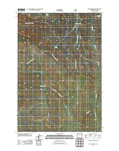 Hicks Spring Oregon Historical topographic map, 1:24000 scale, 7.5 X 7.5 Minute, Year 2011