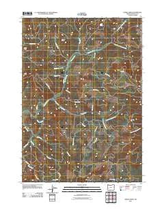 Hinkle Creek Oregon Historical topographic map, 1:24000 scale, 7.5 X 7.5 Minute, Year 2011