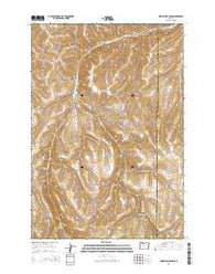 Hoodlum Canyon Oregon Current topographic map, 1:24000 scale, 7.5 X 7.5 Minute, Year 2014