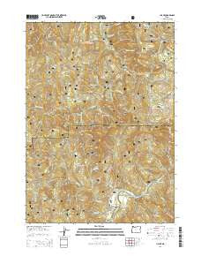 Illahe Oregon Current topographic map, 1:24000 scale, 7.5 X 7.5 Minute, Year 2014