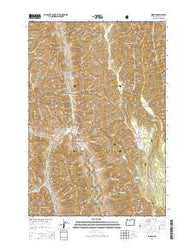 Imnaha Oregon Current topographic map, 1:24000 scale, 7.5 X 7.5 Minute, Year 2014