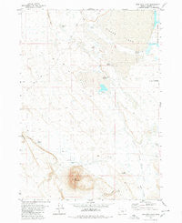 Iron Mtn. Flat Oregon Historical topographic map, 1:24000 scale, 7.5 X 7.5 Minute, Year 1980