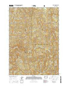 Ivers Peak Oregon Current topographic map, 1:24000 scale, 7.5 X 7.5 Minute, Year 2014