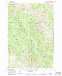 Jim White Ridge Oregon Historical topographic map, 1:24000 scale, 7.5 X 7.5 Minute, Year 1966