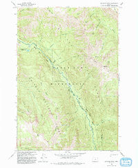 Jim White Ridge Oregon Historical topographic map, 1:24000 scale, 7.5 X 7.5 Minute, Year 1993