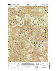 Johnson Saddle Oregon Current topographic map, 1:24000 scale, 7.5 X 7.5 Minute, Year 2014