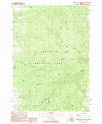 Jump-Off Joe Mountain Oregon Historical topographic map, 1:24000 scale, 7.5 X 7.5 Minute, Year 1990