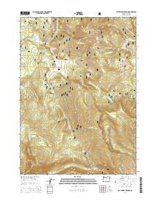 Lee Thomas Crossing Oregon Current topographic map, 1:24000 scale, 7.5 X 7.5 Minute, Year 2014