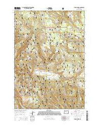 Lehman Springs Oregon Current topographic map, 1:24000 scale, 7.5 X 7.5 Minute, Year 2014