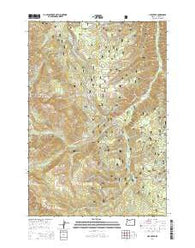 Lick Creek Oregon Current topographic map, 1:24000 scale, 7.5 X 7.5 Minute, Year 2014