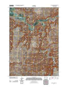 Liggett Table Oregon Historical topographic map, 1:24000 scale, 7.5 X 7.5 Minute, Year 2011