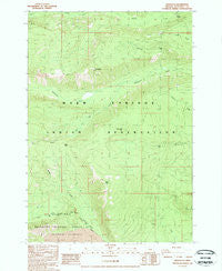 Lionshead Oregon Historical topographic map, 1:24000 scale, 7.5 X 7.5 Minute, Year 1988