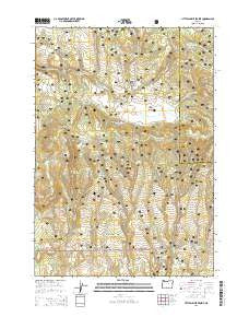 Little Summit Prairie Oregon Current topographic map, 1:24000 scale, 7.5 X 7.5 Minute, Year 2014