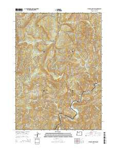 Live Oak Mountain Oregon Current topographic map, 1:24000 scale, 7.5 X 7.5 Minute, Year 2014