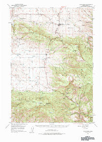 Long Creek Oregon Historical topographic map, 1:62500 scale, 15 X 15 Minute, Year 1949